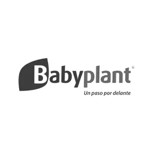 Baby Plant
