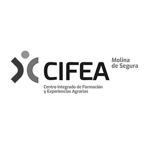 Cifea Molina de Segura 